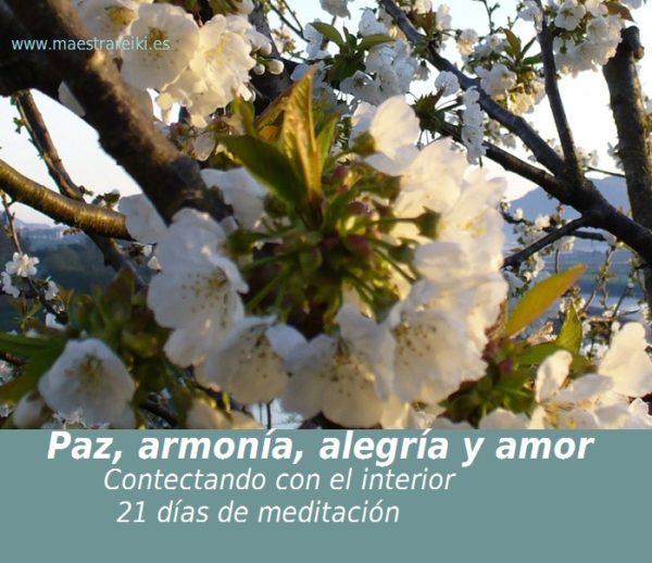 21 Días de Meditación - Imagen 16