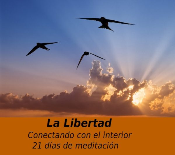 21 Días de Meditación - Imagen 8