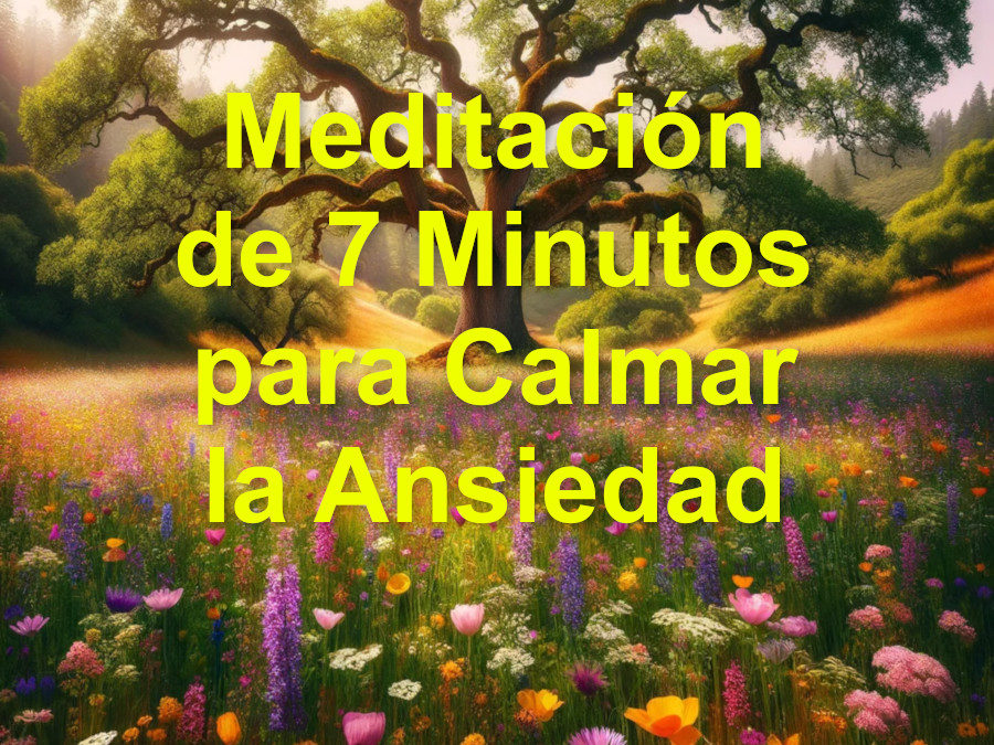 7 minutos de serenidad para calmar la ansiedad